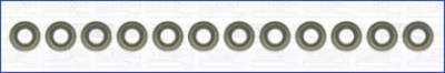WILMINK GROUP wg1455787 -  